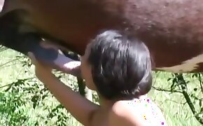 loveflix black - zoophiles enjoying sex, riding