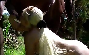 bingo dos 5 sentidos - zoophilia with blowjob, horse porn videos