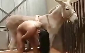 visualizador dwg - donkey, center