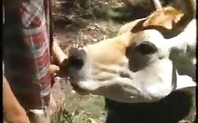 animals, freak having sex with animal